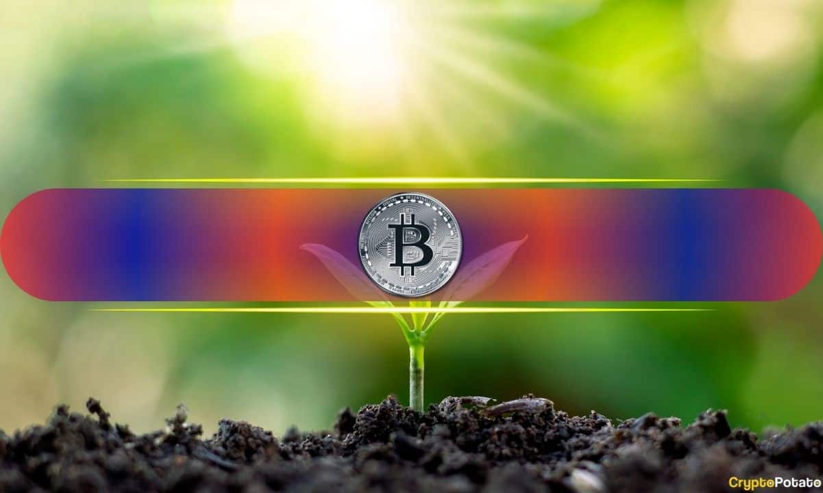 Analyzing 15 Years of Bitcoin History