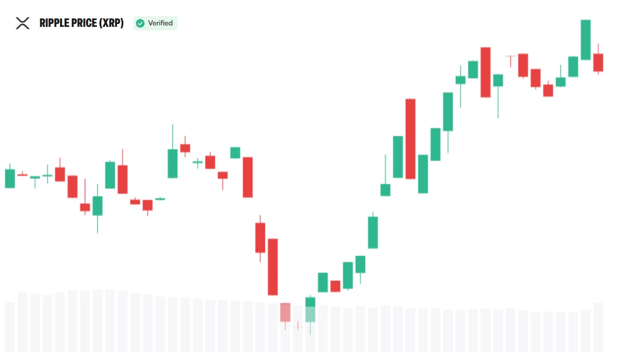 Why XRP Appeals to Institutional Investors, Bitwise CIO Explains